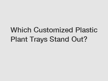 Which Customized Plastic Plant Trays Stand Out?