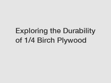 Exploring the Durability of 1/4 Birch Plywood