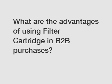 What are the advantages of using Filter Cartridge in B2B purchases?