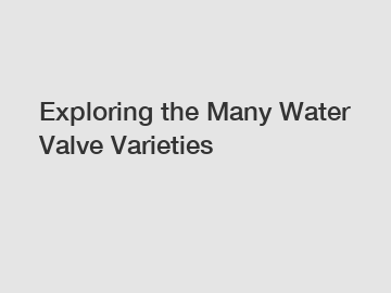 Exploring the Many Water Valve Varieties