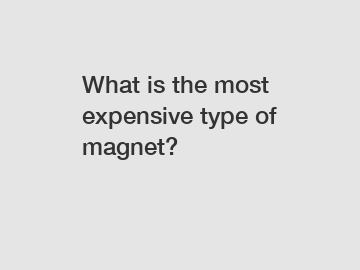 What is the most expensive type of magnet?