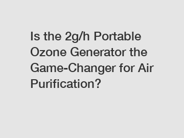 Is the 2g/h Portable Ozone Generator the Game-Changer for Air Purification?