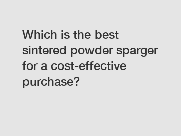 Which is the best sintered powder sparger for a cost-effective purchase?