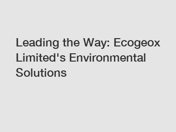 Leading the Way: Ecogeox Limited's Environmental Solutions