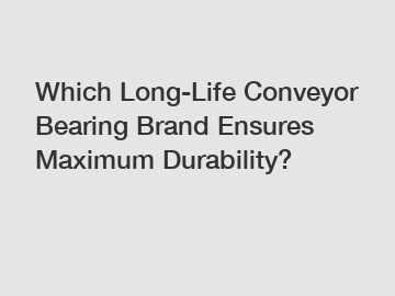 Which Long-Life Conveyor Bearing Brand Ensures Maximum Durability?